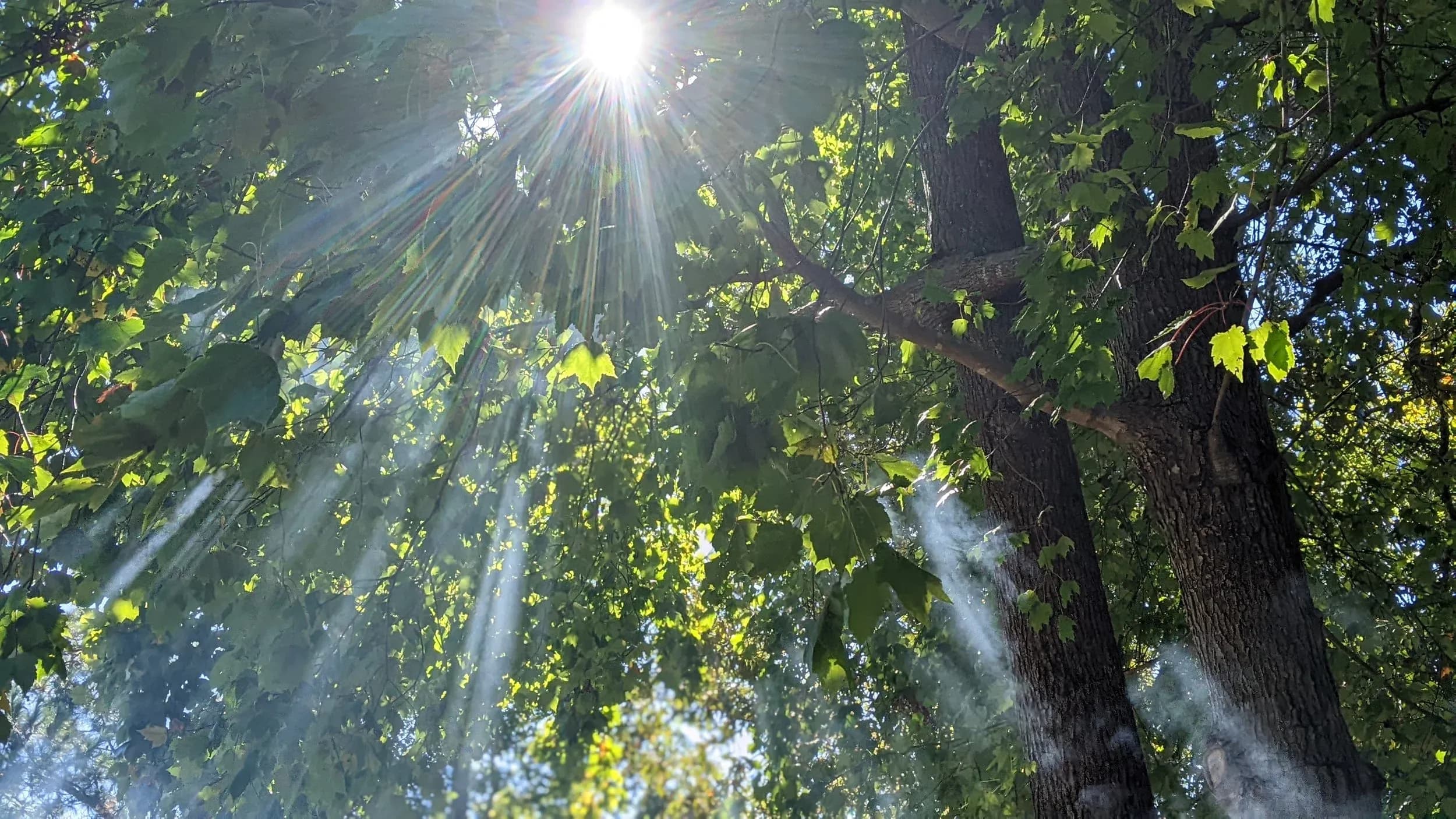 Echoes of the Spirit still dwell